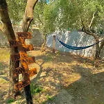 Garden House Vakantiehuis